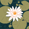 thats_idaa